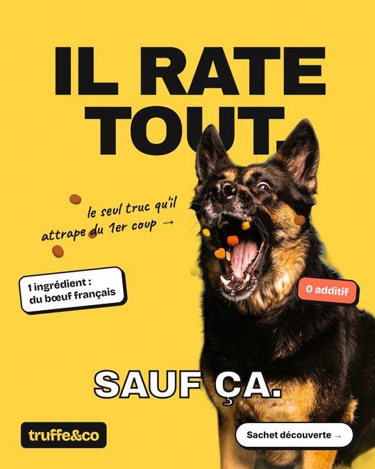 Pub Truffe & Co : il rate tout, sauf ça